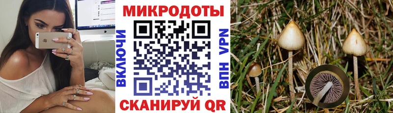 площадка Telegram  Агидель  Псилоцибиновые грибы мицелий  цена  